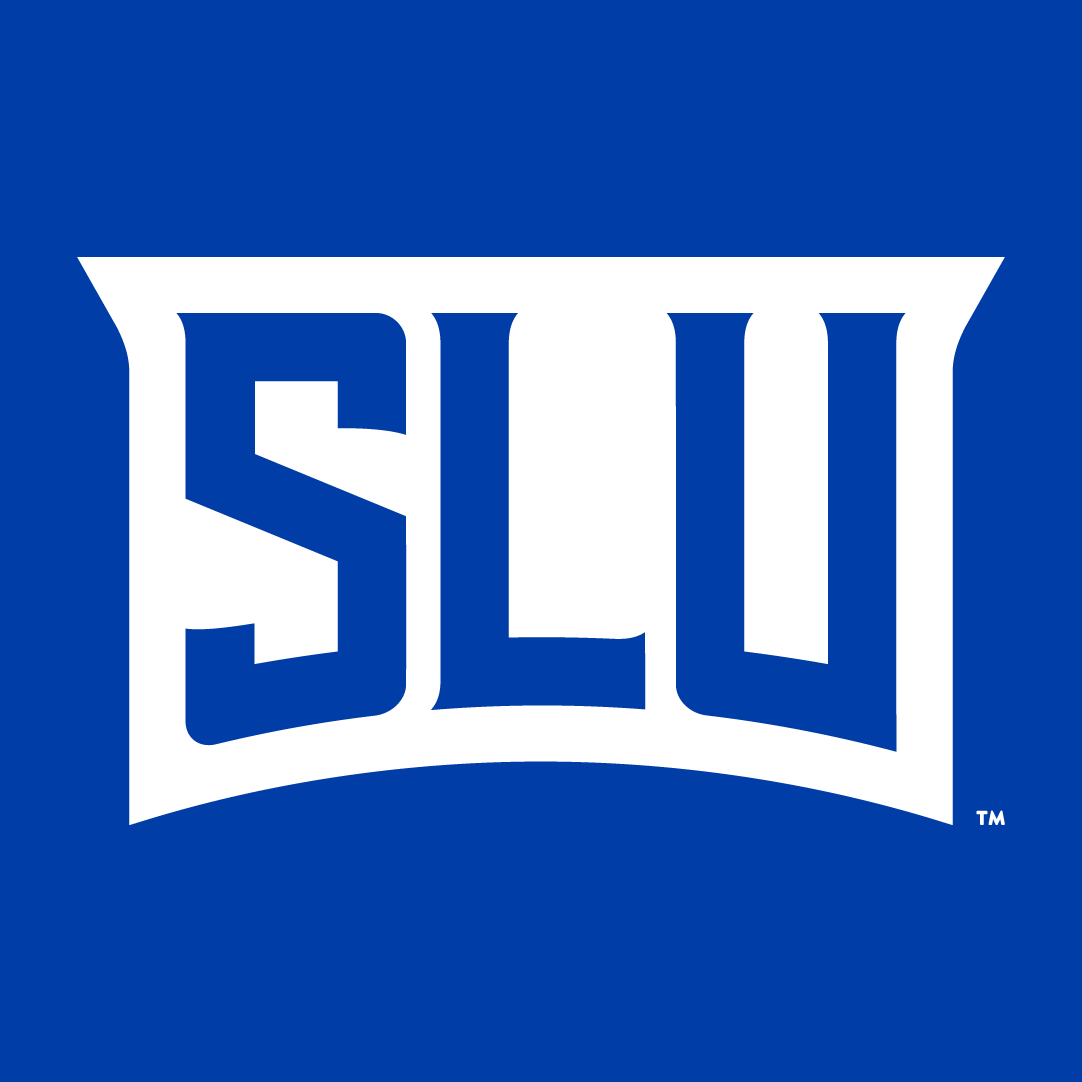 Saint Louis Billikens 2015-Pres Wordmark Logo v2 diy DTF decal sticker